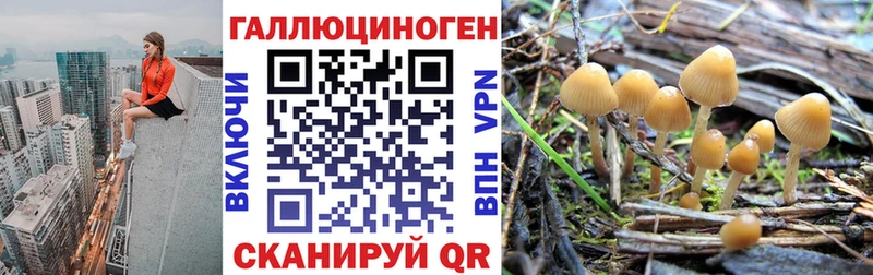 Галлюциногенные грибы MAGIC MUSHROOMS  Свободный 