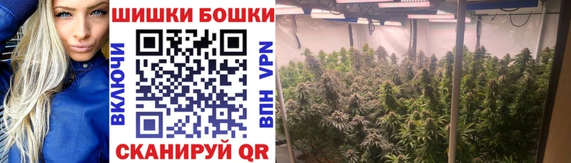 Марихуана сатива мега сайт Свободный